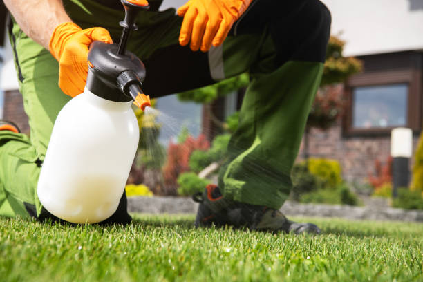 Best Pest Inspection Near Me  in West Ocean City, MD