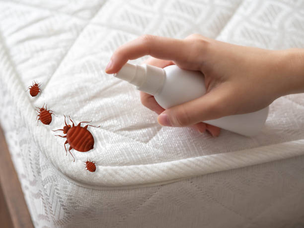 Professional Pest Control in West Ocean City, MD