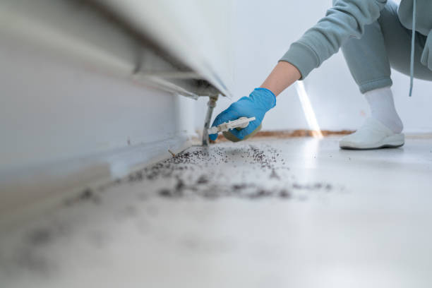 Best Residential Pest Control  in West Ocean City, MD